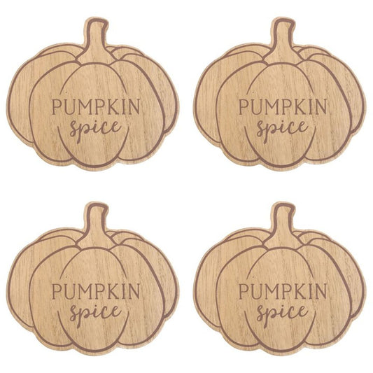 Pumpkin Spice Coaster Set